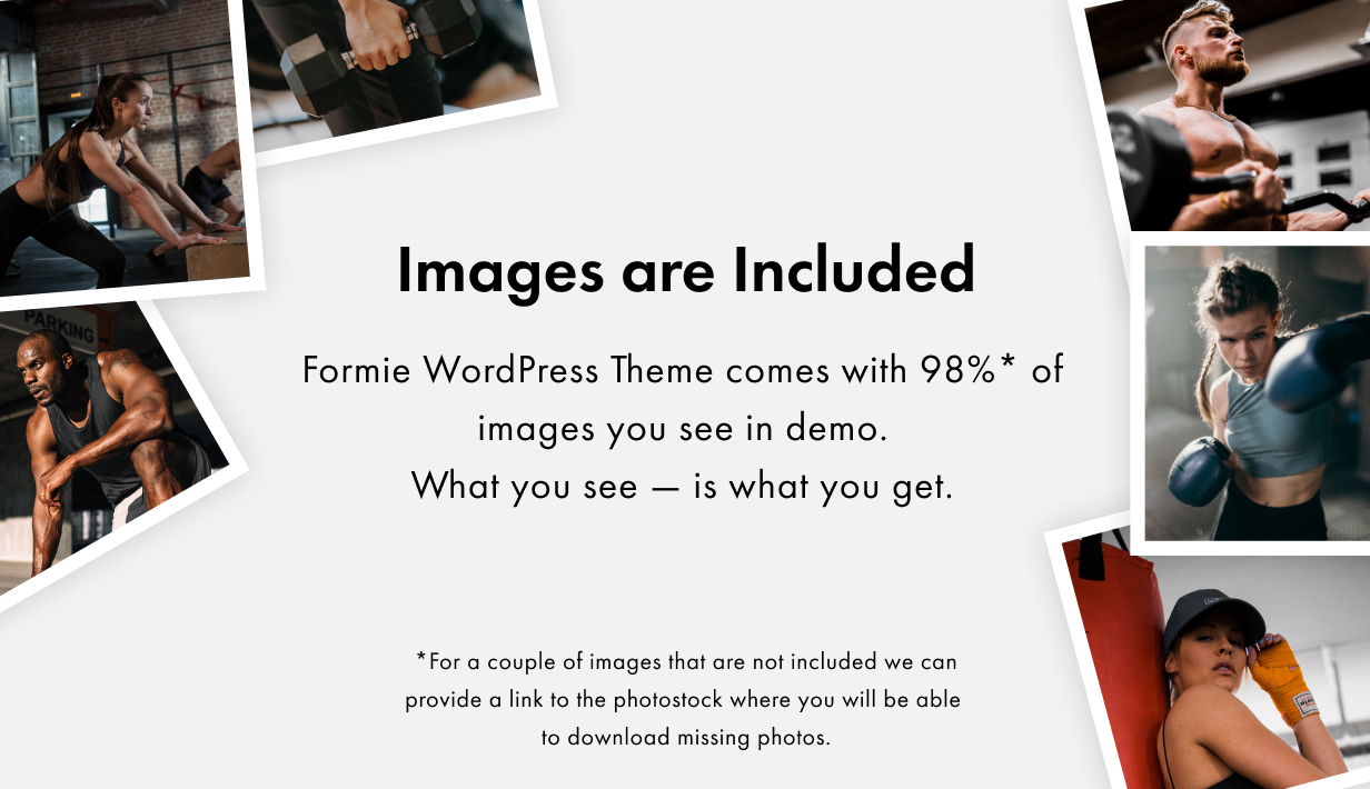 Formie WordPress Theme Presentation Image