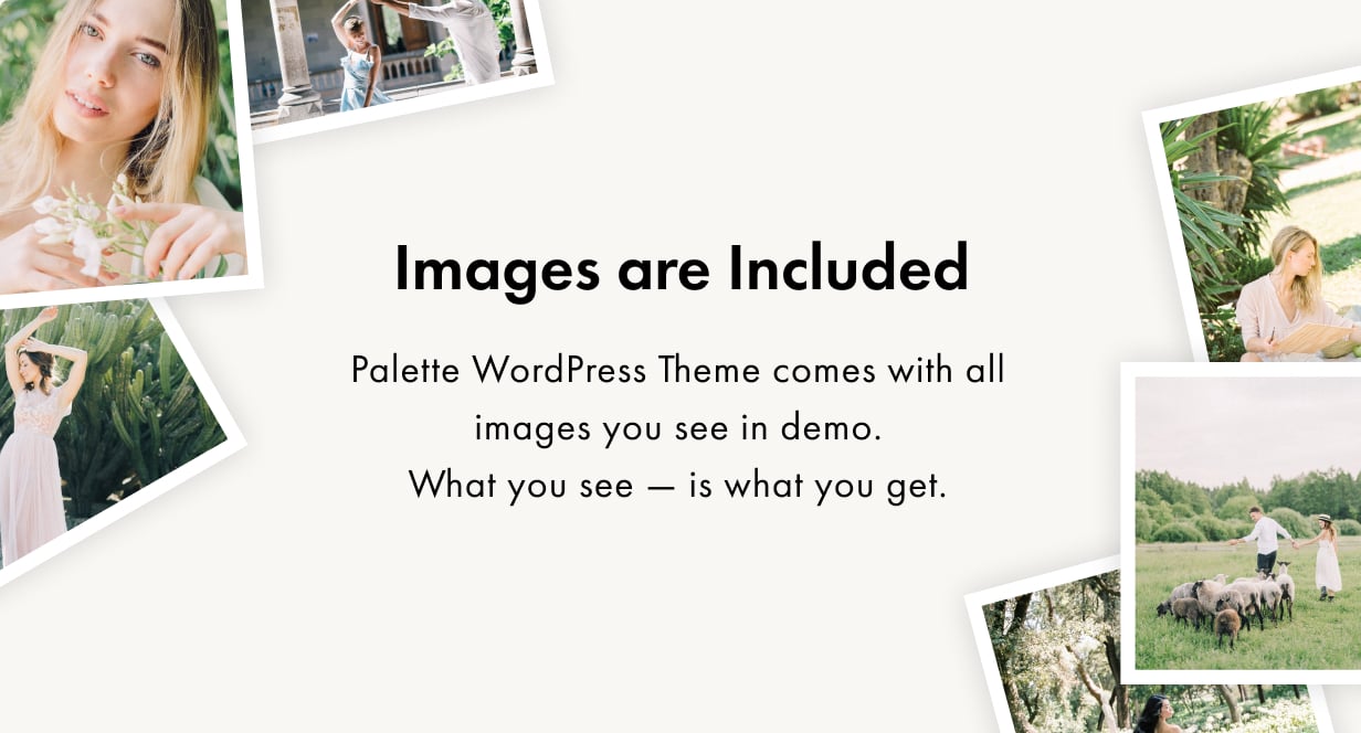 Palette WordPress Theme Presentation Image